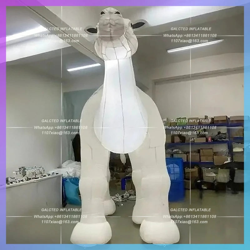 white camels animal zoo advertising hot desert inflatable camel