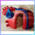 inflatable heart tunnel tent Free express shipping 3mH advertising balloon giant  inflatable organ model for medical exhibition