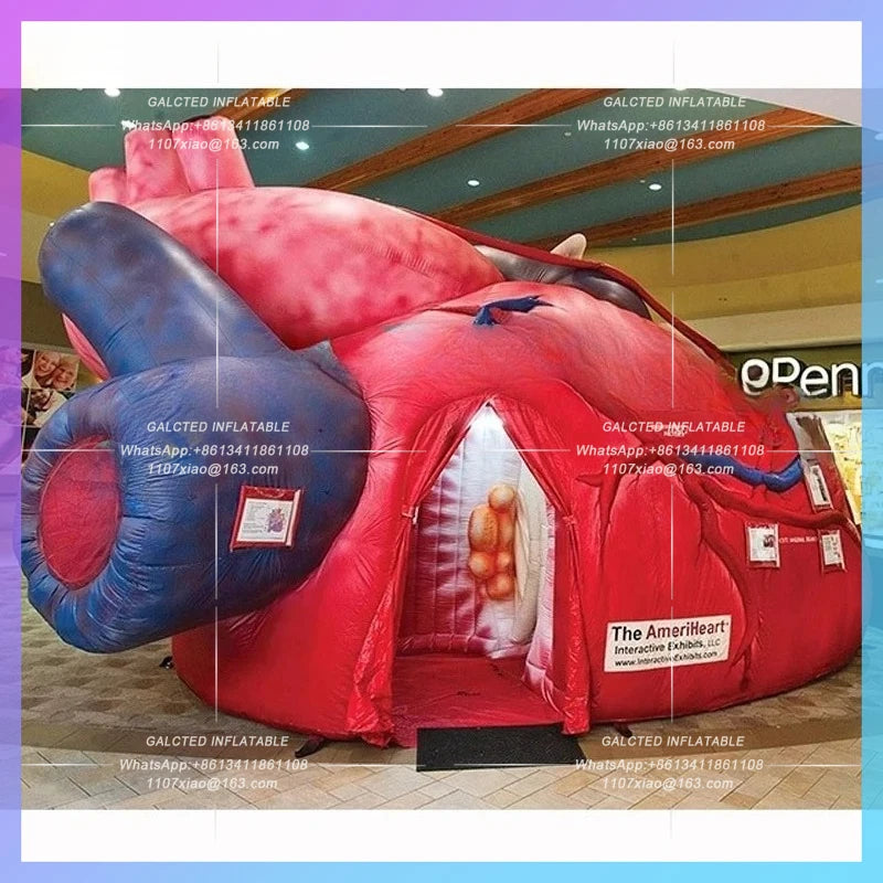 inflatable heart tunnel tent Free express shipping 3mH advertising balloon giant  inflatable organ model for medical exhibition